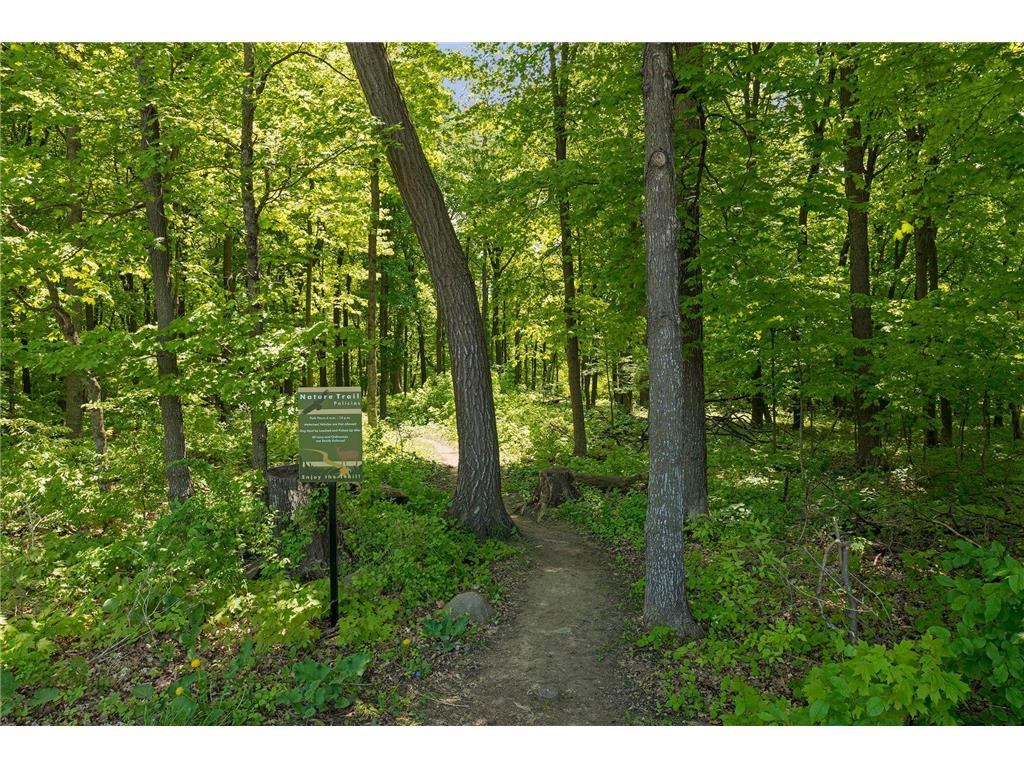 17448 Haralson Drive Eden Prairie MN 55347 7056833 image36