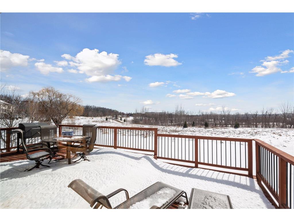 1745 Carriage Drive Victoria MN 55386 7039324 image49