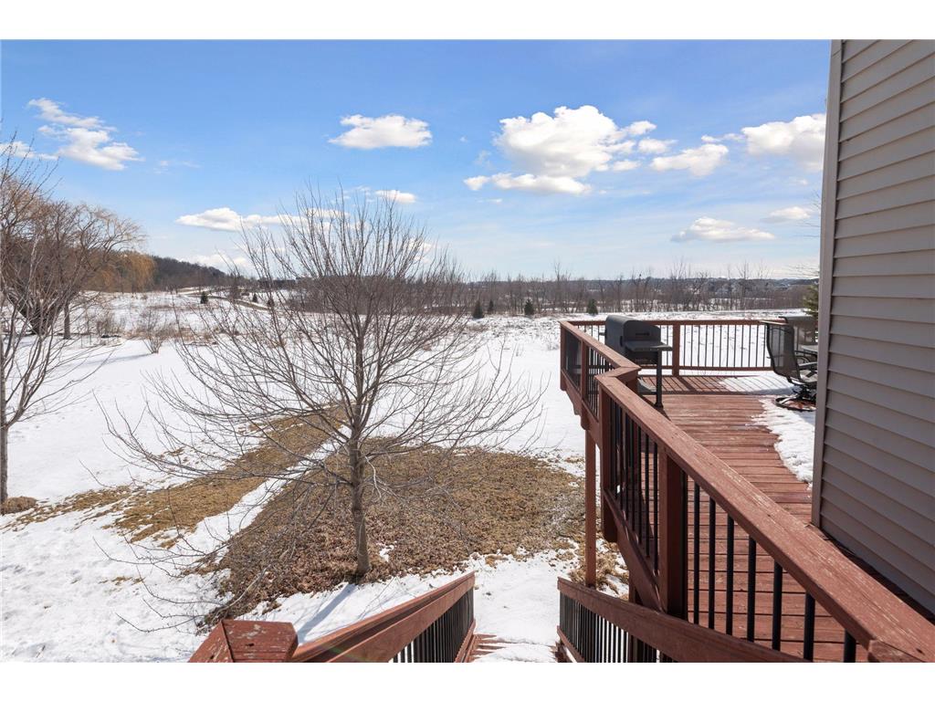 1745 Carriage Drive Victoria MN 55386 7039324 image52