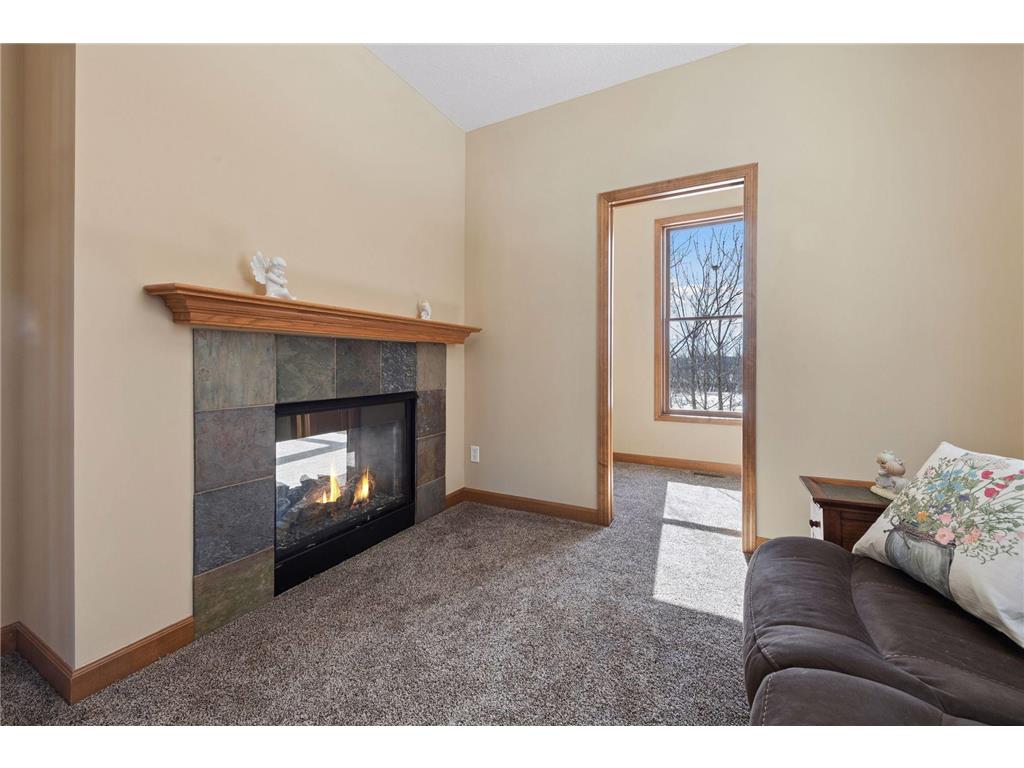 1745 Carriage Drive Victoria MN 55386 7039324 image8