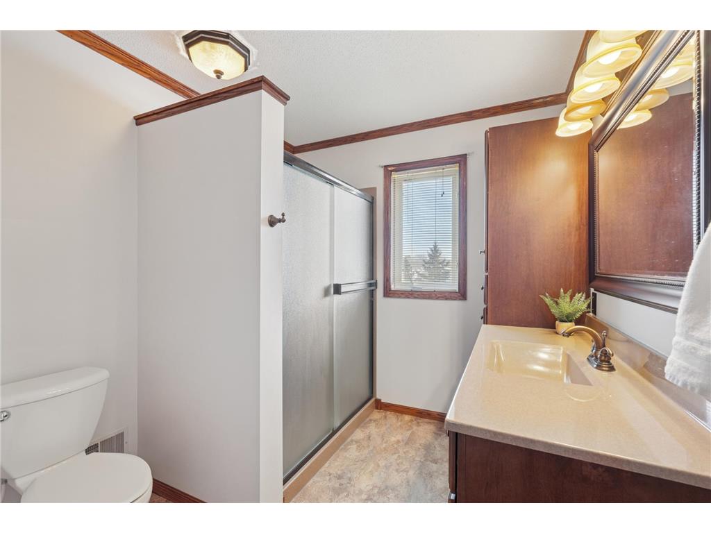 17452 Hibiscus Avenue Lakeville MN 55044 7010966 image16