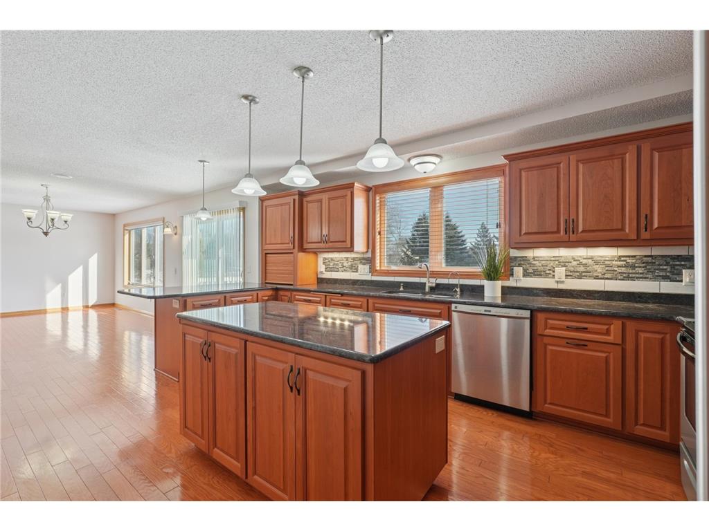 17452 Hibiscus Avenue Lakeville MN 55044 7010966 image6