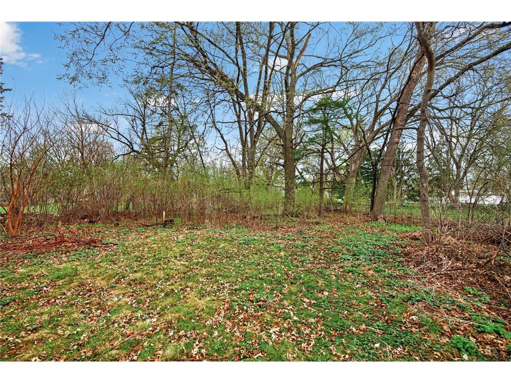 1749 Hamline Avenue N Falcon Heights MN 55113 7073031 image27