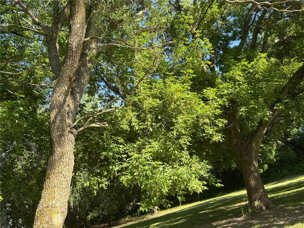 175 6th Lane NE Oronoco MN 55960 7089082 image23