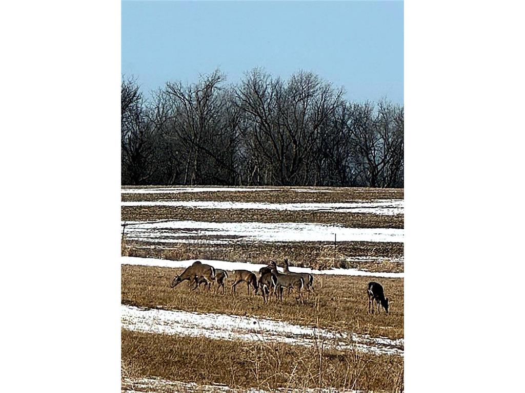 17531 County 41 Boulevard Red Wing MN 55066 7034498 image100