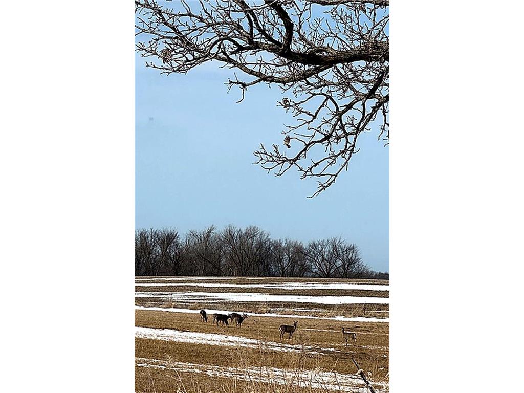 17531 County 41 Boulevard Red Wing MN 55066 7034498 image102