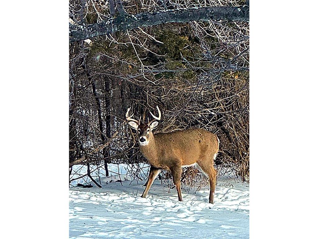 17531 County 41 Boulevard Red Wing MN 55066 7034498 image103