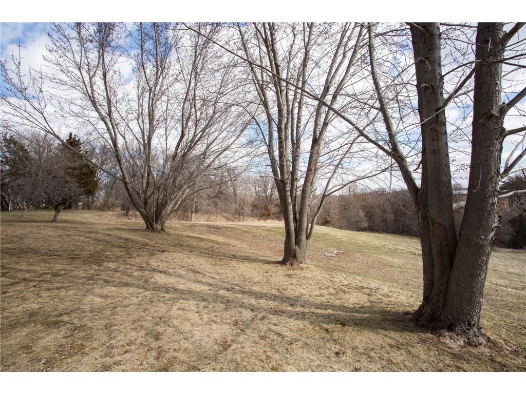 17531 County 41 Boulevard Red Wing MN 55066 7034498 image68