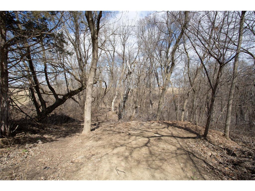 17531 County 41 Boulevard Red Wing MN 55066 7034498 image72
