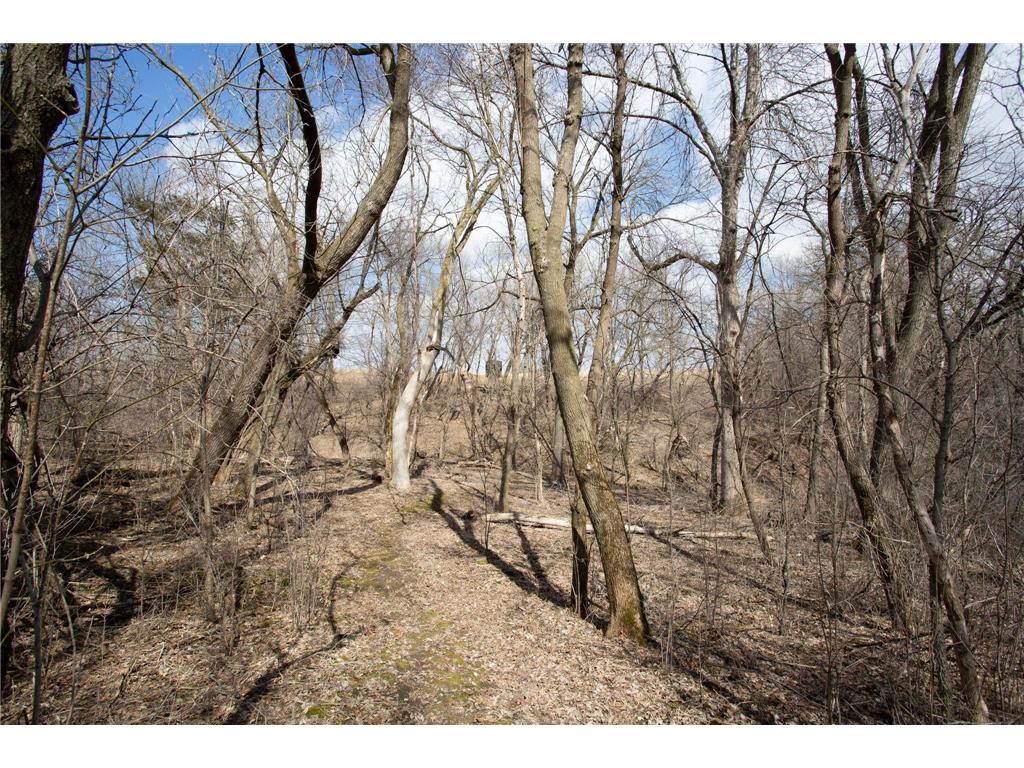 17531 County 41 Boulevard Red Wing MN 55066 7034498 image73