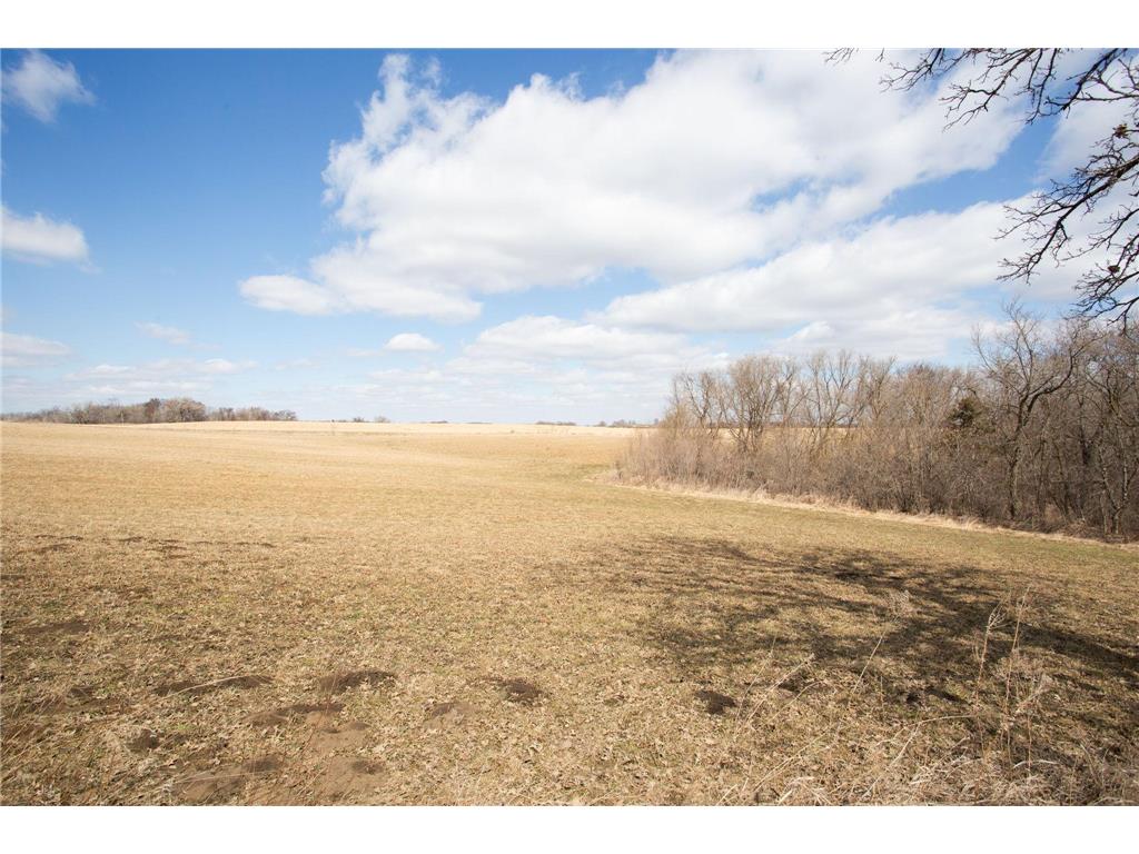 17531 County 41 Boulevard Red Wing MN 55066 7034498 image79