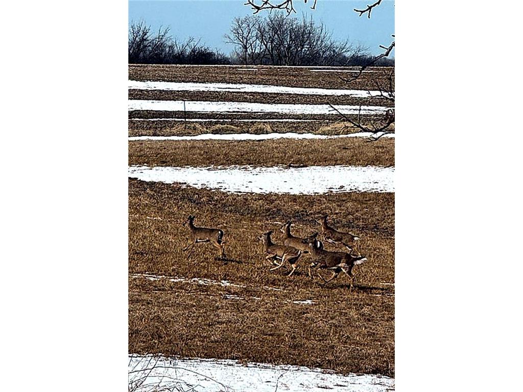 17531 County 41 Boulevard Red Wing MN 55066 7034498 image98