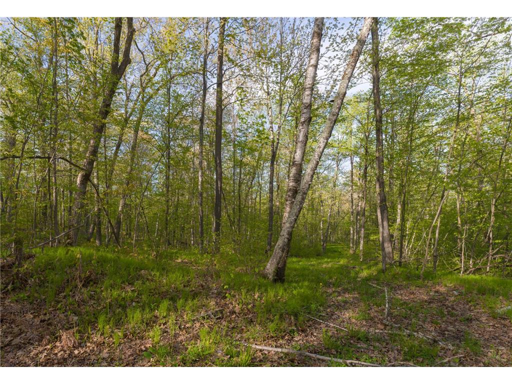 17549 295th Avenue Lakeside Twp MN 56342 7079169 image13