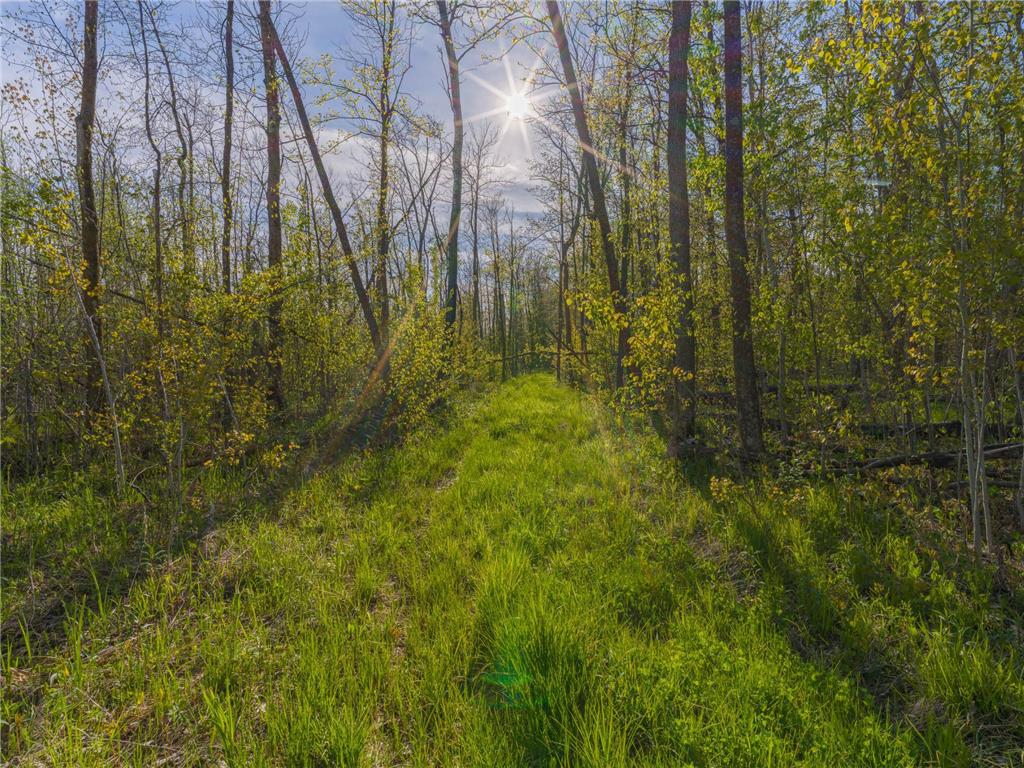 17549 295th Avenue Lakeside Twp MN 56342 7079169 image14