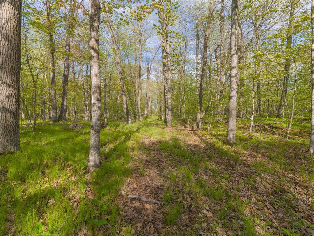 17549 295th Avenue Lakeside Twp MN 56342 7079169 image15