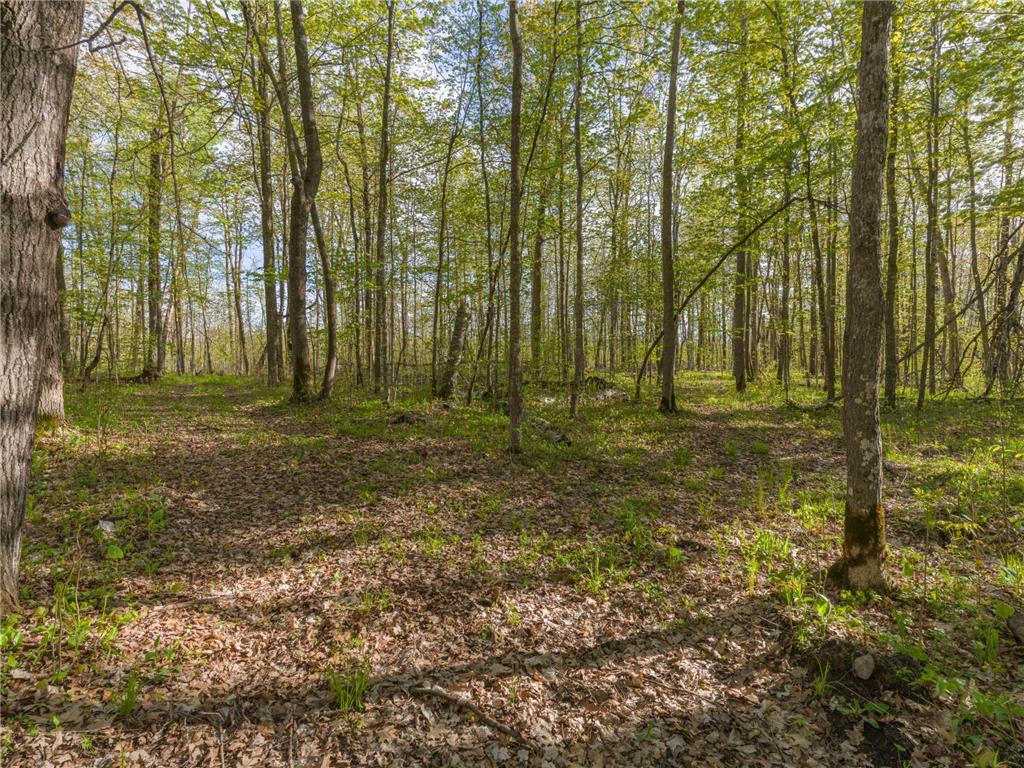 17549 295th Avenue Lakeside Twp MN 56342 7079169 image16