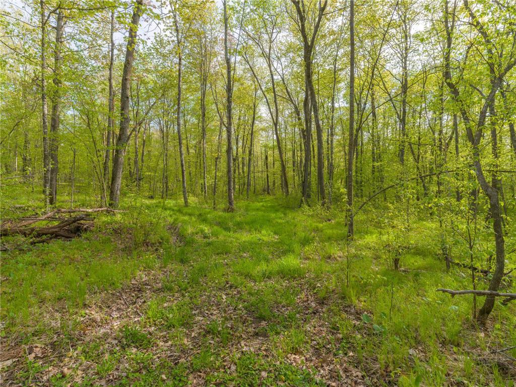 17549 295th Avenue Lakeside Twp MN 56342 7079169 image17