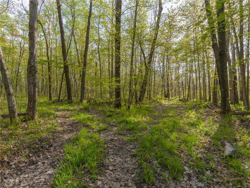 17549 295th Avenue Lakeside Twp MN 56342 7079169 image18