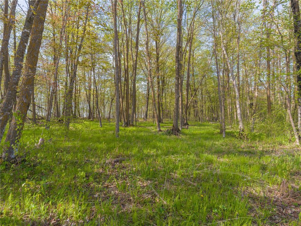 17549 295th Avenue Lakeside Twp MN 56342 7079169 image19