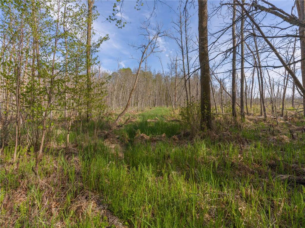 17549 295th Avenue Lakeside Twp MN 56342 7079169 image21
