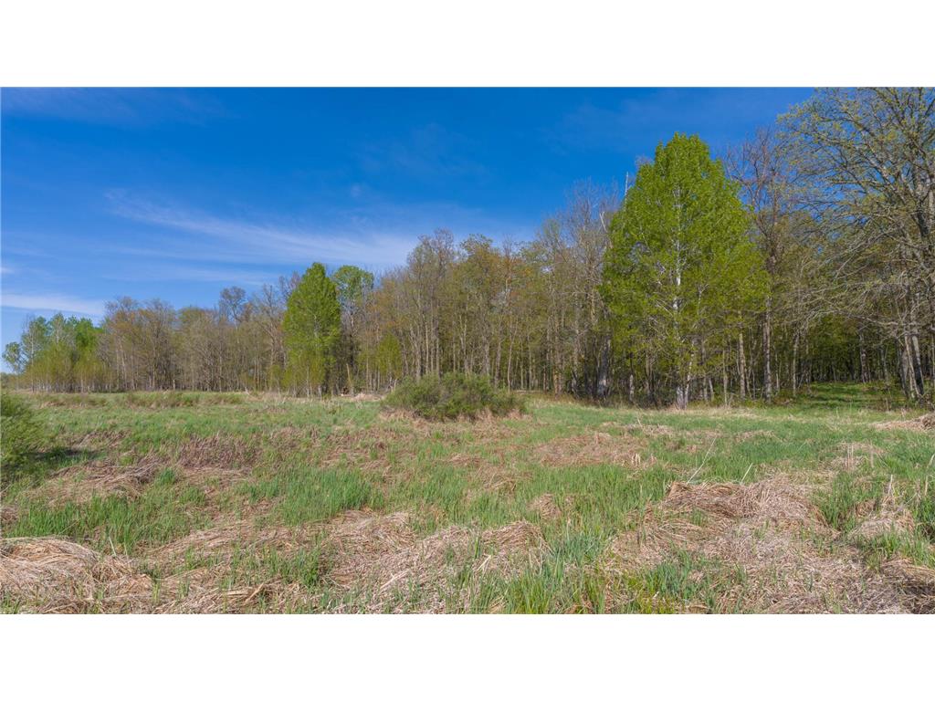 17549 295th Avenue Lakeside Twp MN 56342 7079169 image22