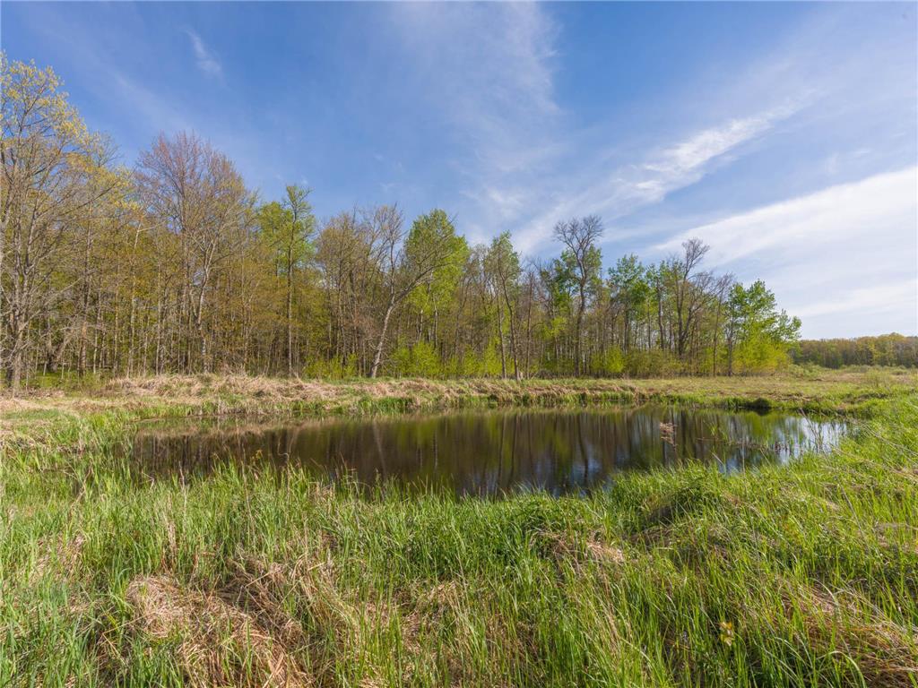 17549 295th Avenue Lakeside Twp MN 56342 7079169 image23