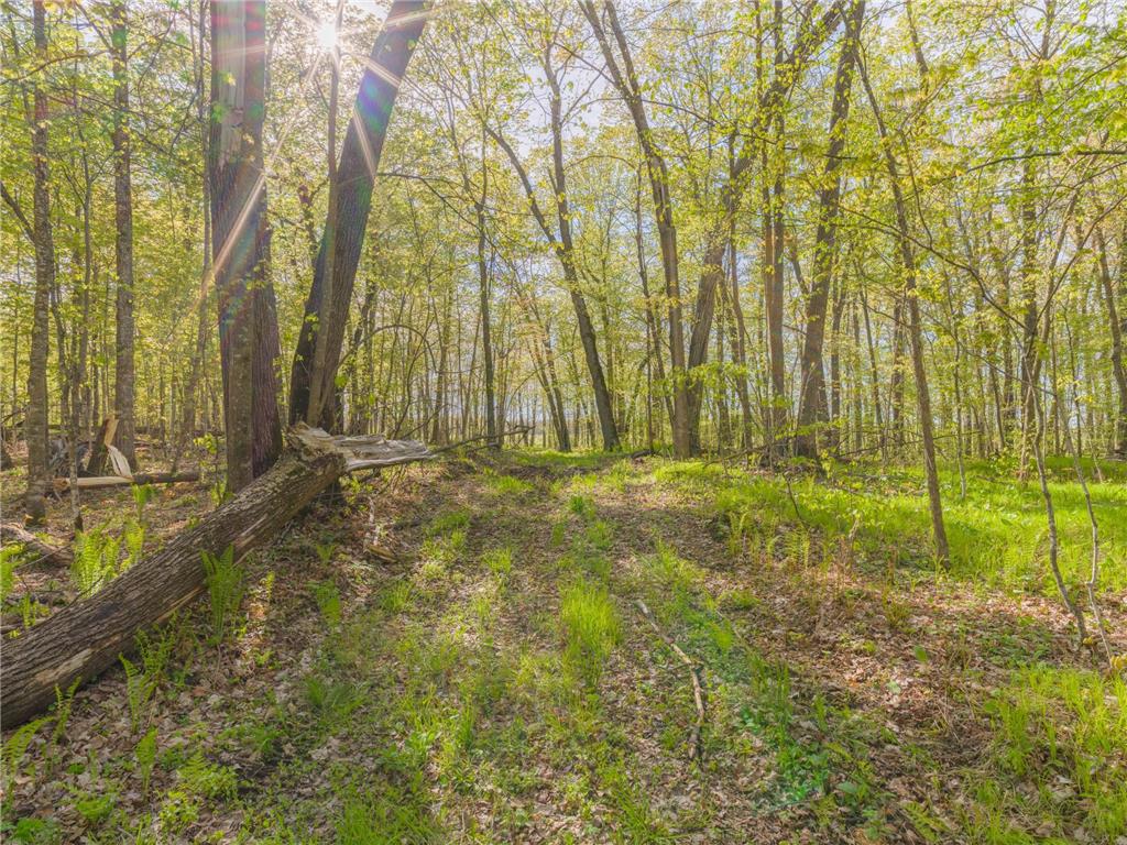 17549 295th Avenue Lakeside Twp MN 56342 7079169 image24