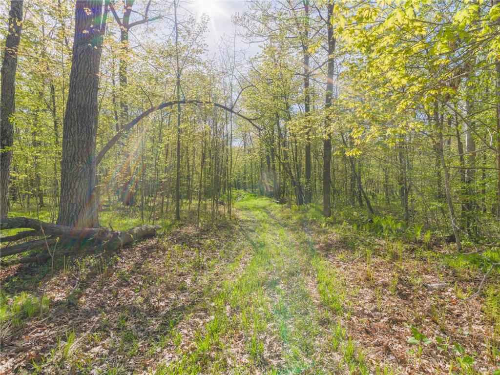 17549 295th Avenue Lakeside Twp MN 56342 7079169 image25