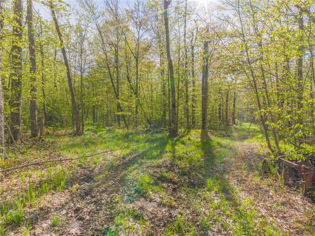 17549 295th Avenue Lakeside Twp MN 56342 7079169 image27
