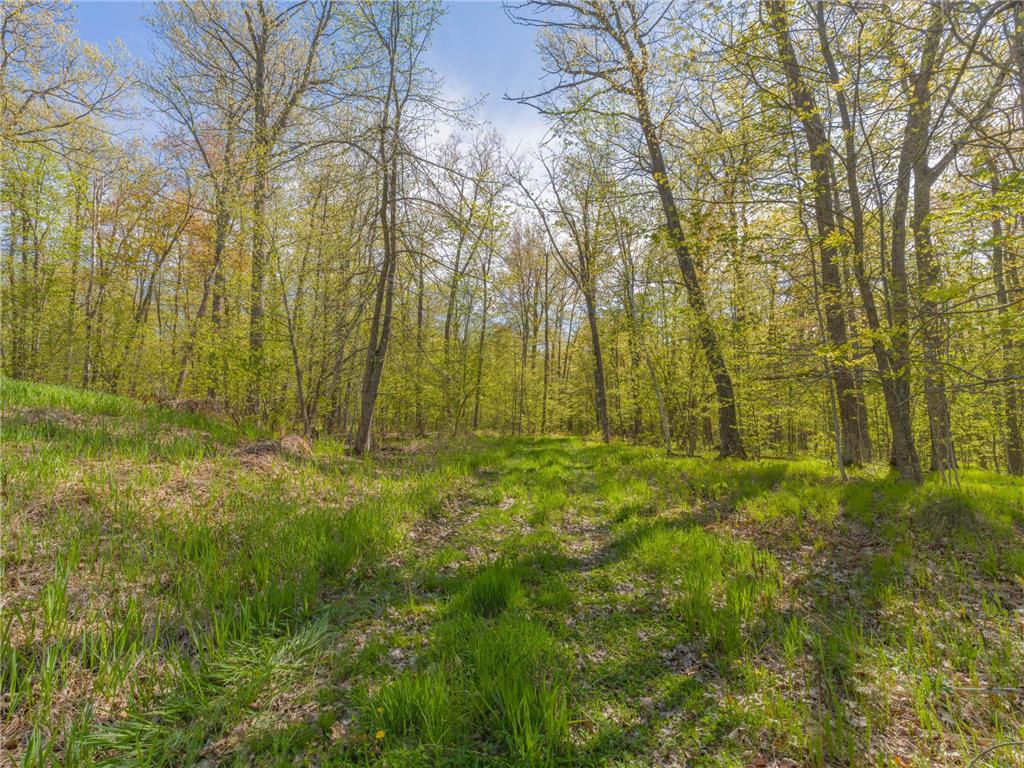 17549 295th Avenue Lakeside Twp MN 56342 7079169 image29