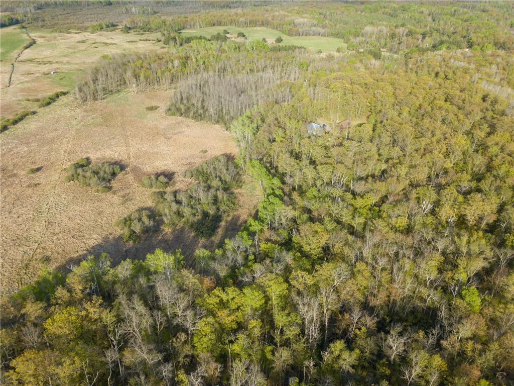 17549 295th Avenue Lakeside Twp MN 56342 7079169 image31