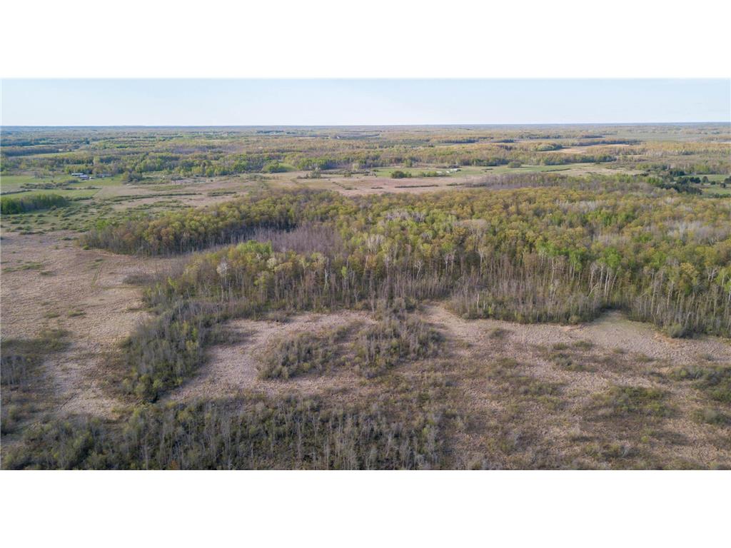 17549 295th Avenue Lakeside Twp MN 56342 7079169 image34