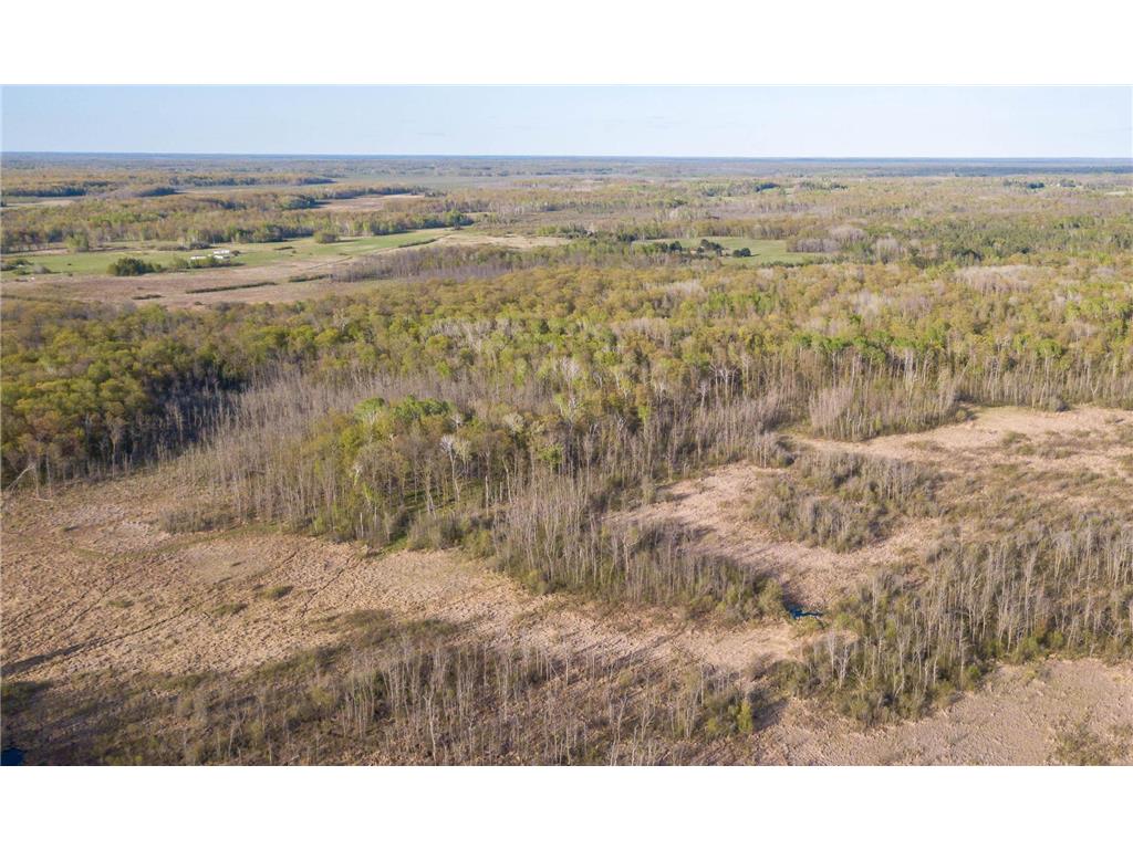 17549 295th Avenue Lakeside Twp MN 56342 7079169 image35