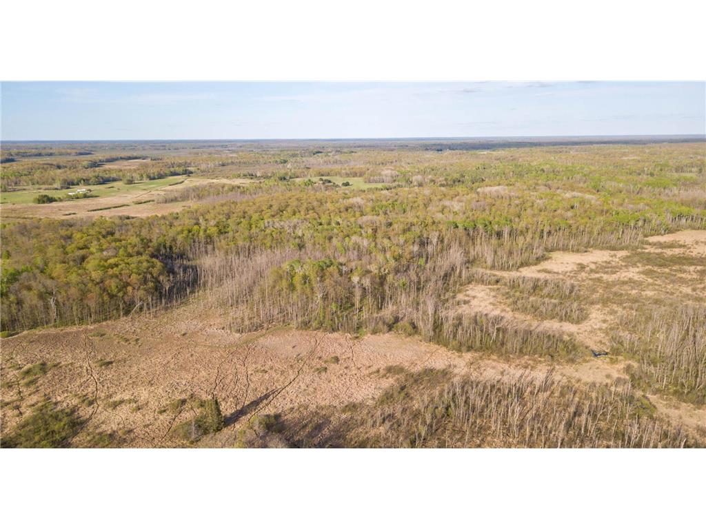 17549 295th Avenue Lakeside Twp MN 56342 7079169 image36