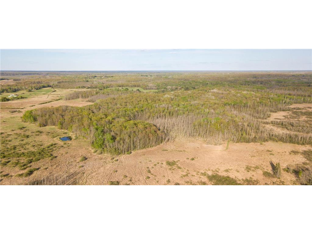 17549 295th Avenue Lakeside Twp MN 56342 7079169 image37