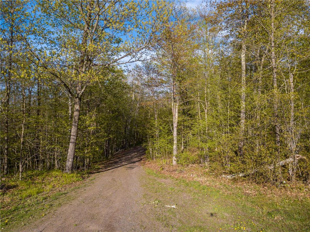 17549 295th Avenue Lakeside Twp MN 56342 7079169 image41