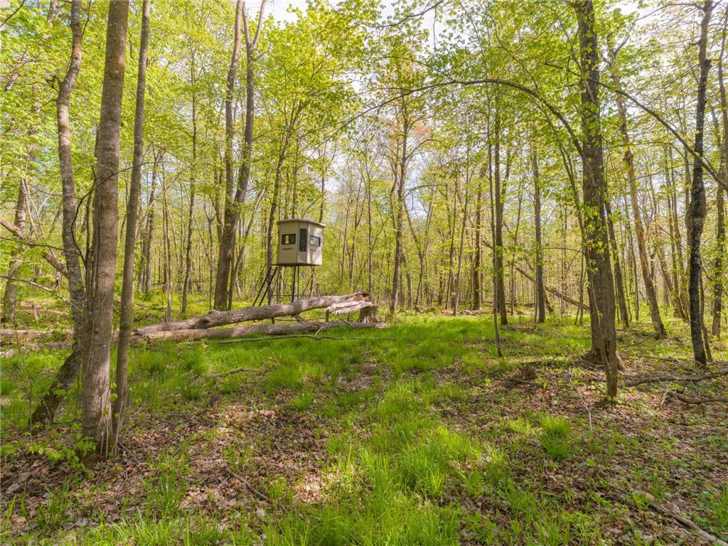 17549 295th Avenue Lakeside Twp MN 56342 7079169 image7