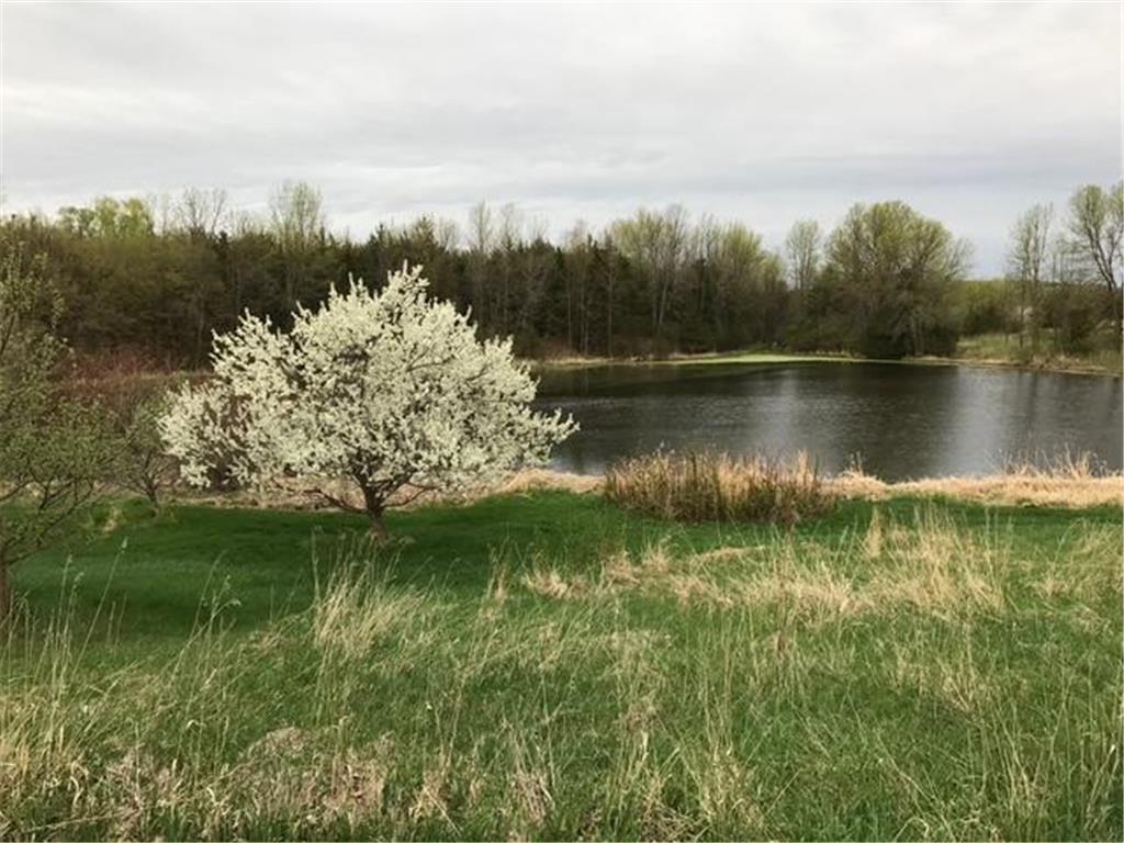 1755 Chateau Way Minnetrista MN 55359 - North Whaletail Lake 6792804 image101