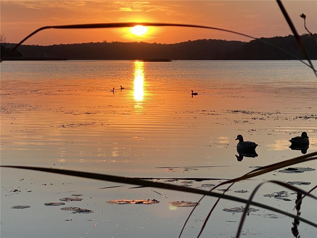 1755 Chateau Way Minnetrista MN 55359 - North Whaletail Lake 6792804 image107