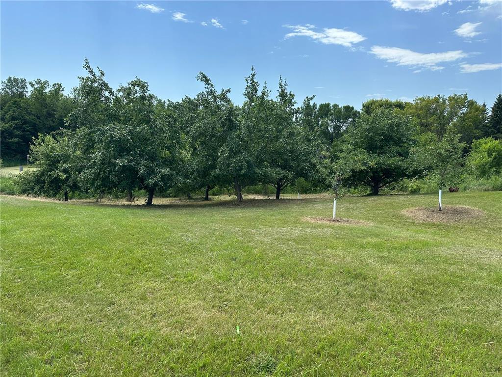 1755 Chateau Way Minnetrista MN 55359 - North Whaletail Lake 6792804 image81