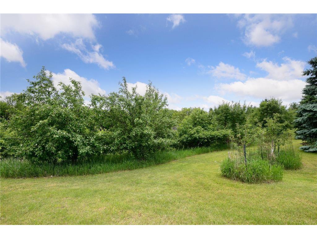 1755 Chateau Way Minnetrista MN 55359 - North Whaletail Lake 6792804 image82