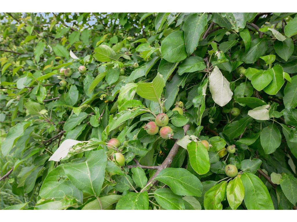 1755 Chateau Way Minnetrista MN 55359 - North Whaletail Lake 6792804 image83