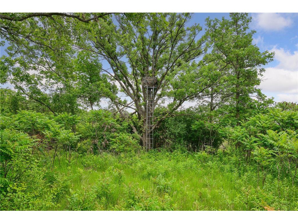 1755 Chateau Way Minnetrista MN 55359 - North Whaletail Lake 6792804 image84