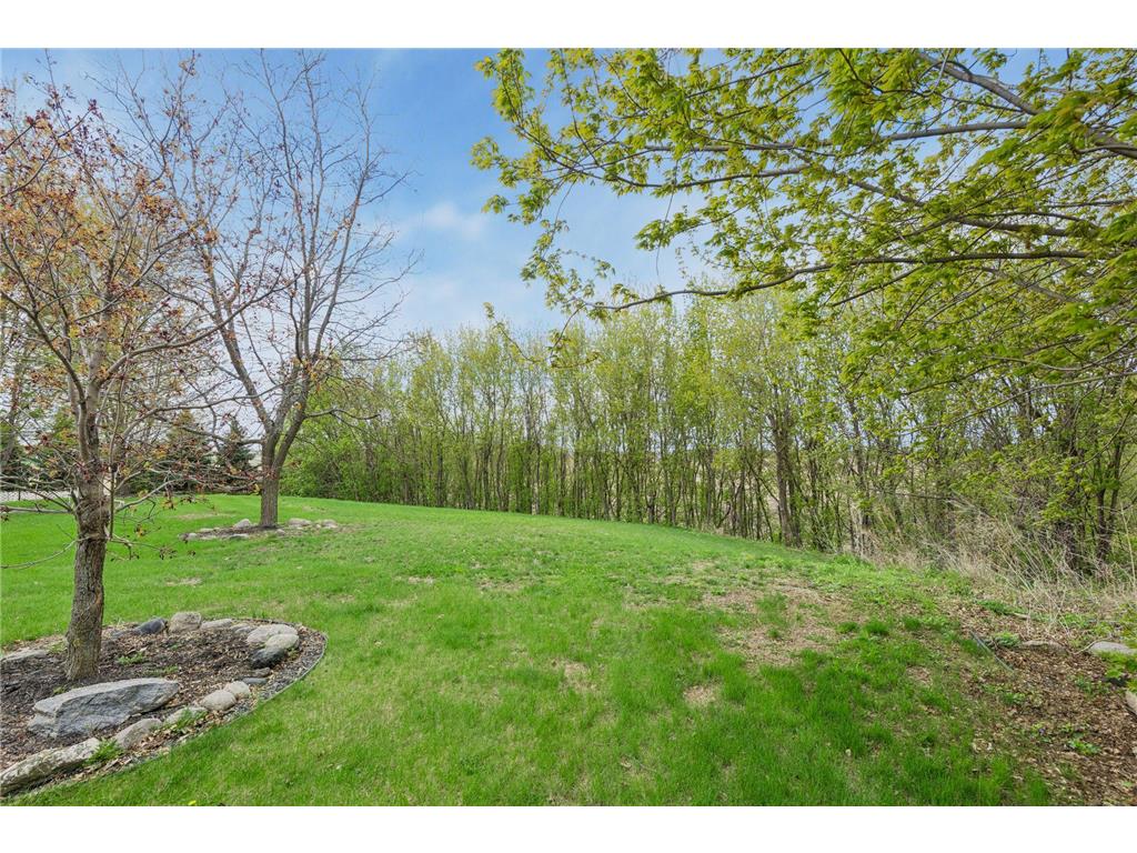 1755 Waconia Parkway S Waconia Twp MN 55387 7054744 image66