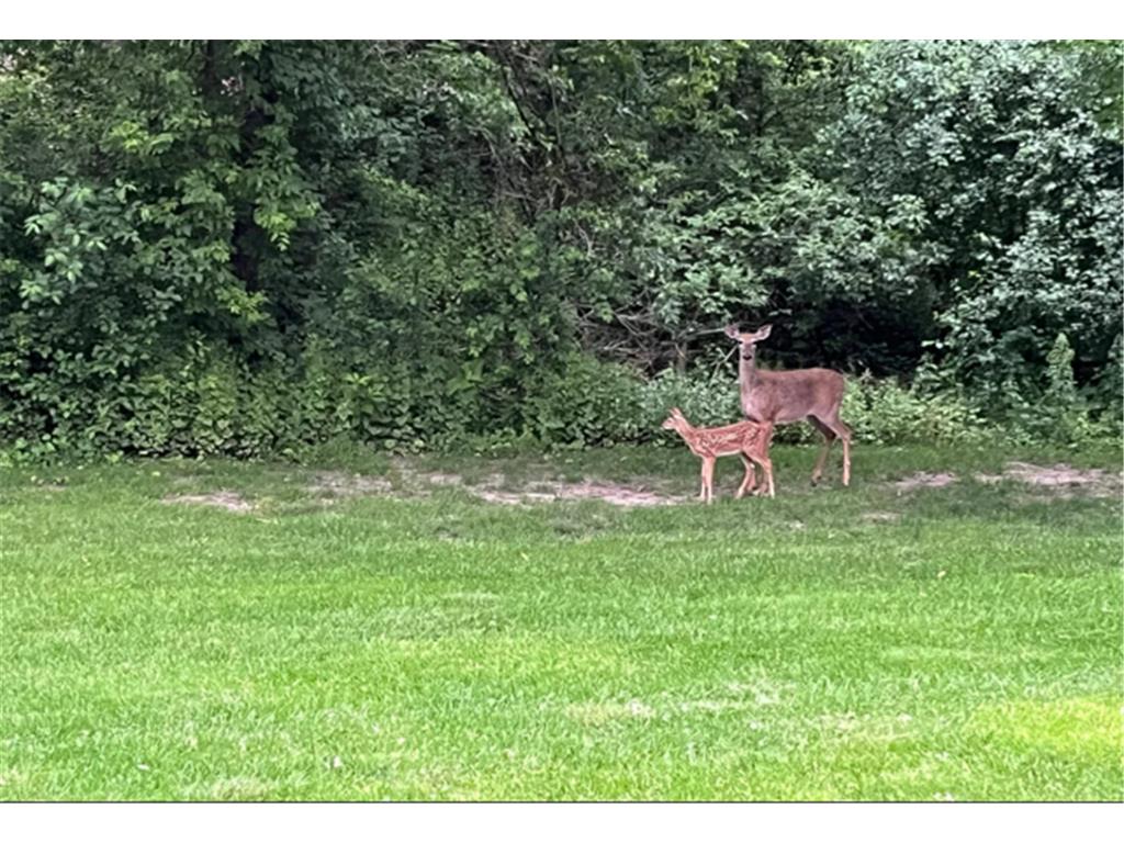 17553 Ionia Path Lakeville MN 55044 7006074 image17