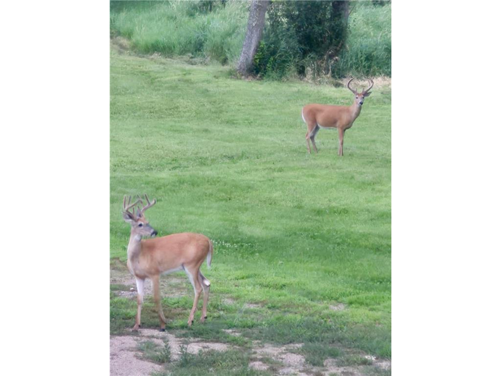 17556 300th Avenue Starbuck MN 56381 7053110 image2