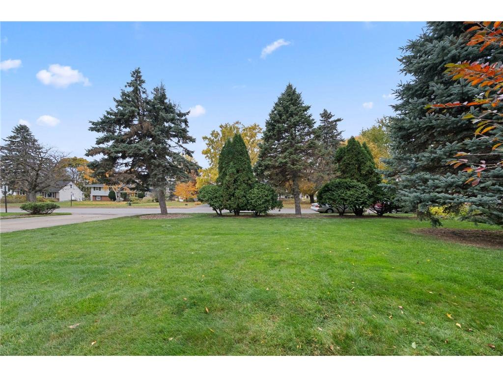 1756 Fry Street Falcon Heights MN 55113 6801073 image49