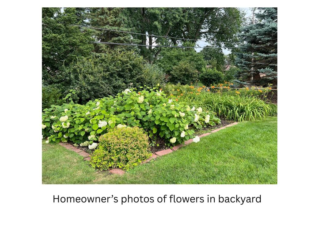 1756 Fry Street Falcon Heights MN 55113 6801073 image50