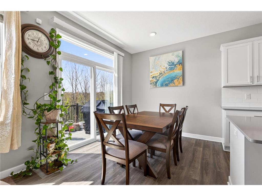1757 Emerson Court Chaska MN 55318 7059634 image16