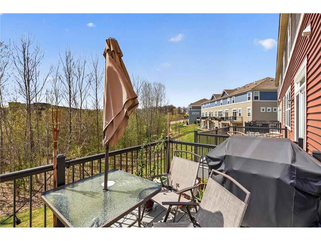 1757 Emerson Court Chaska MN 55318 7059634 image24